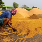 Farmer Dies at Paddy Procurement Centre During Storm