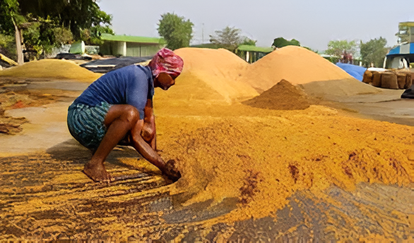 Farmer Dies at Paddy Procurement Centre During Storm