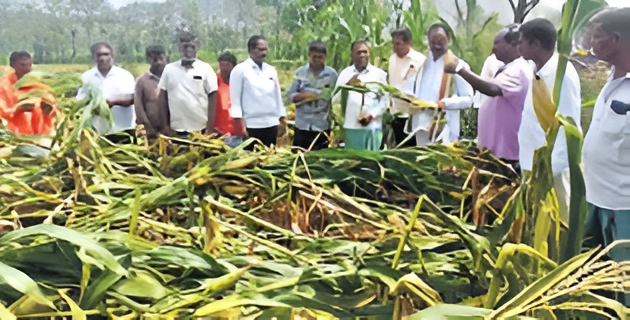 Agriculture Department Assures Assistance to Fire-Affected Farmers